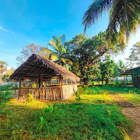 Wilpattu Green Cabin Achchamulai Экстерьер фото