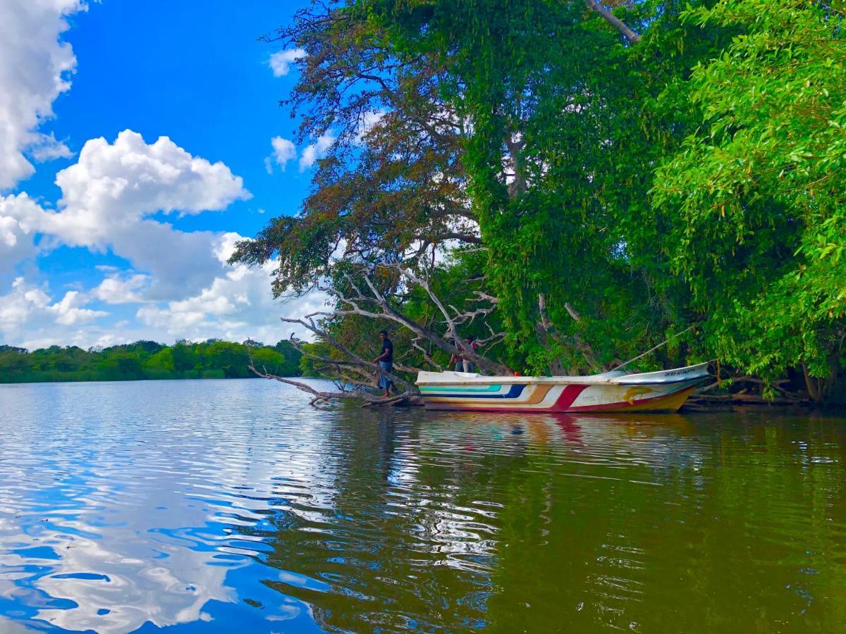 Wilpattu Green Cabin Achchamulai Экстерьер фото