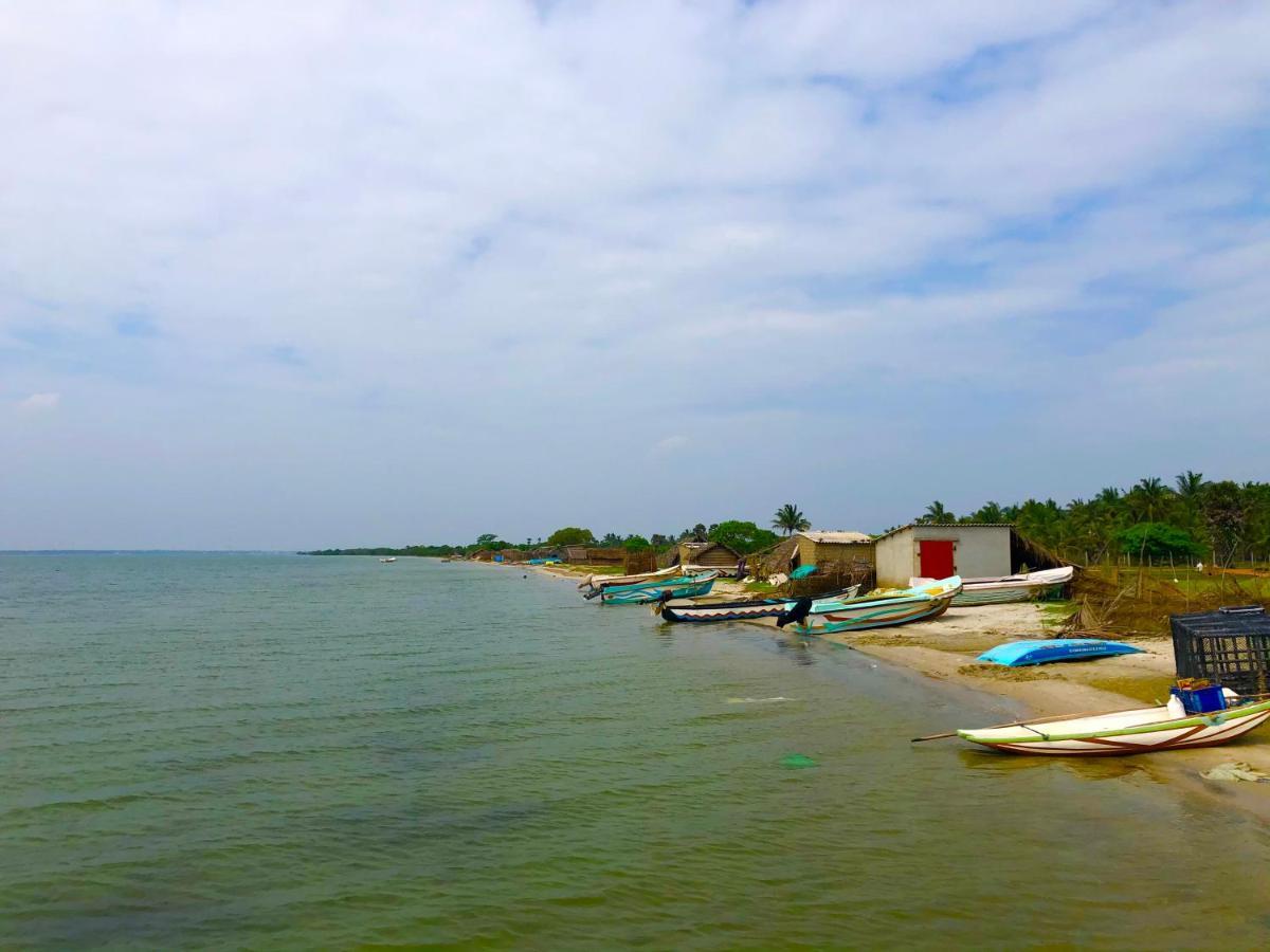 Wilpattu Green Cabin Achchamulai Экстерьер фото