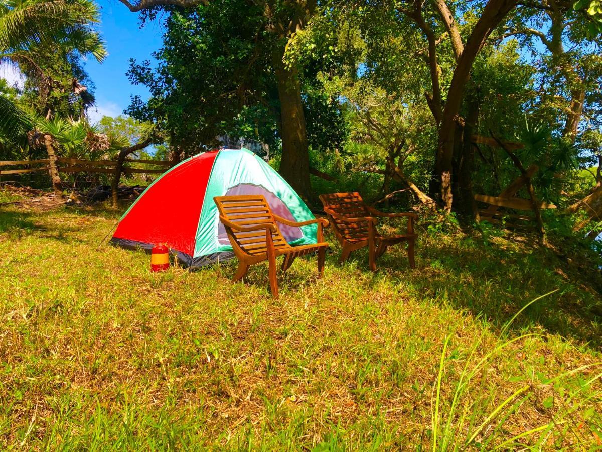 Wilpattu Green Cabin Achchamulai Экстерьер фото