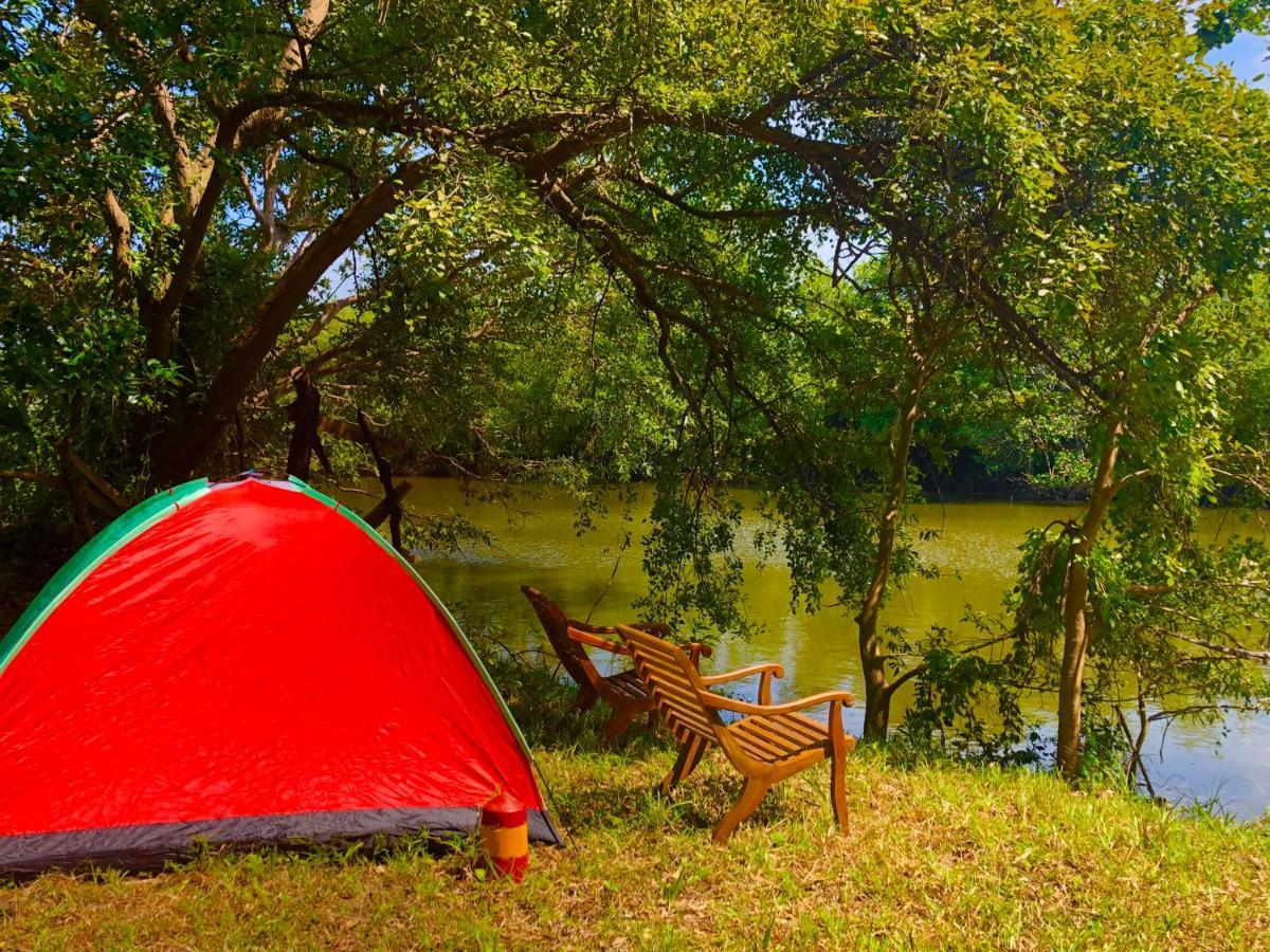 Wilpattu Green Cabin Achchamulai Экстерьер фото