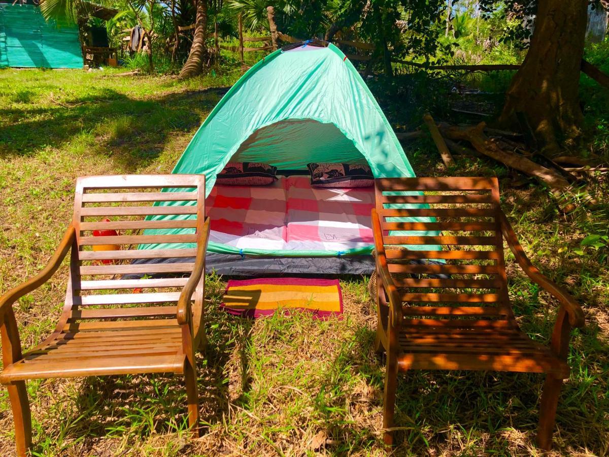 Wilpattu Green Cabin Achchamulai Экстерьер фото