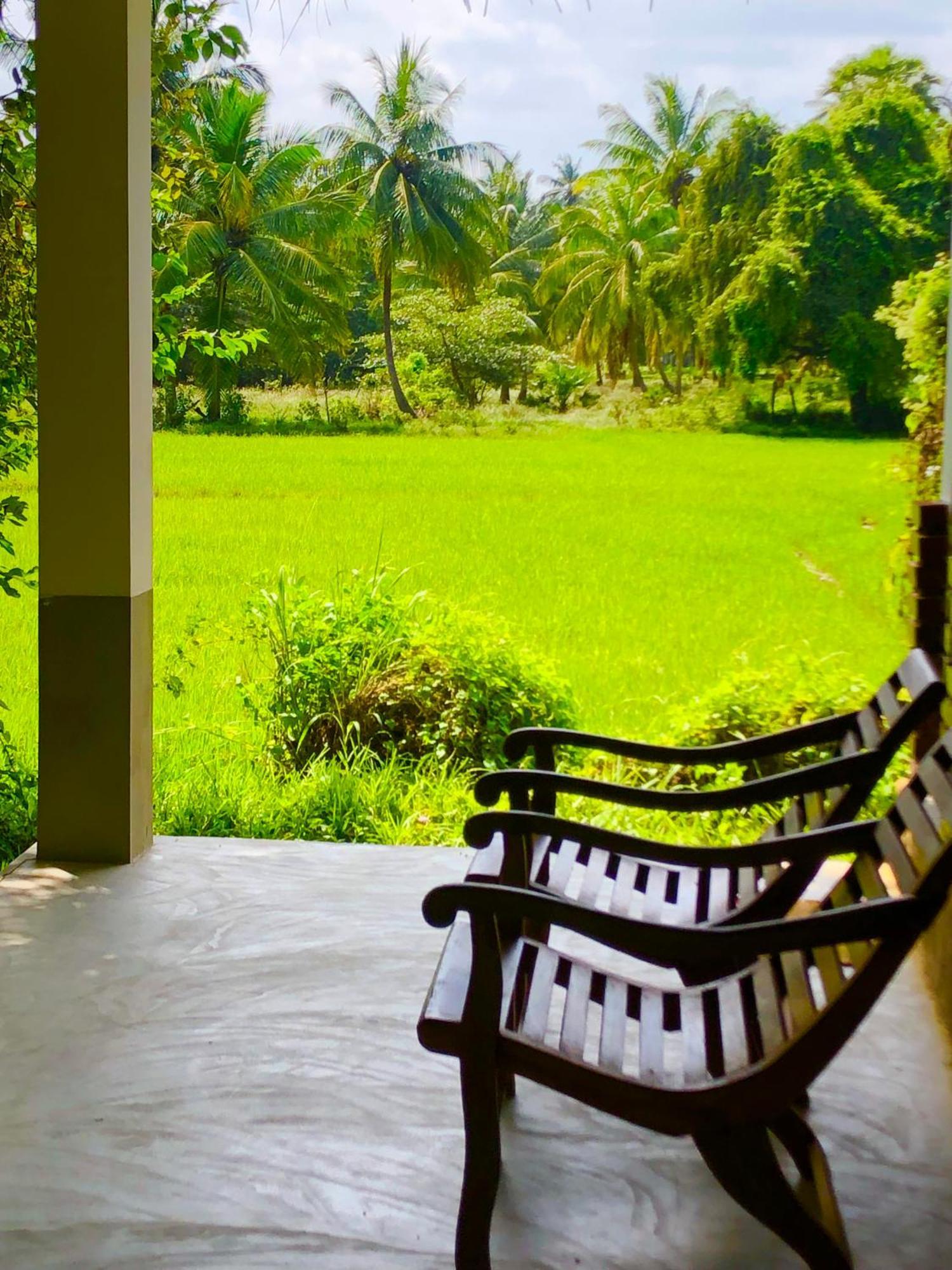 Wilpattu Green Cabin Achchamulai Экстерьер фото