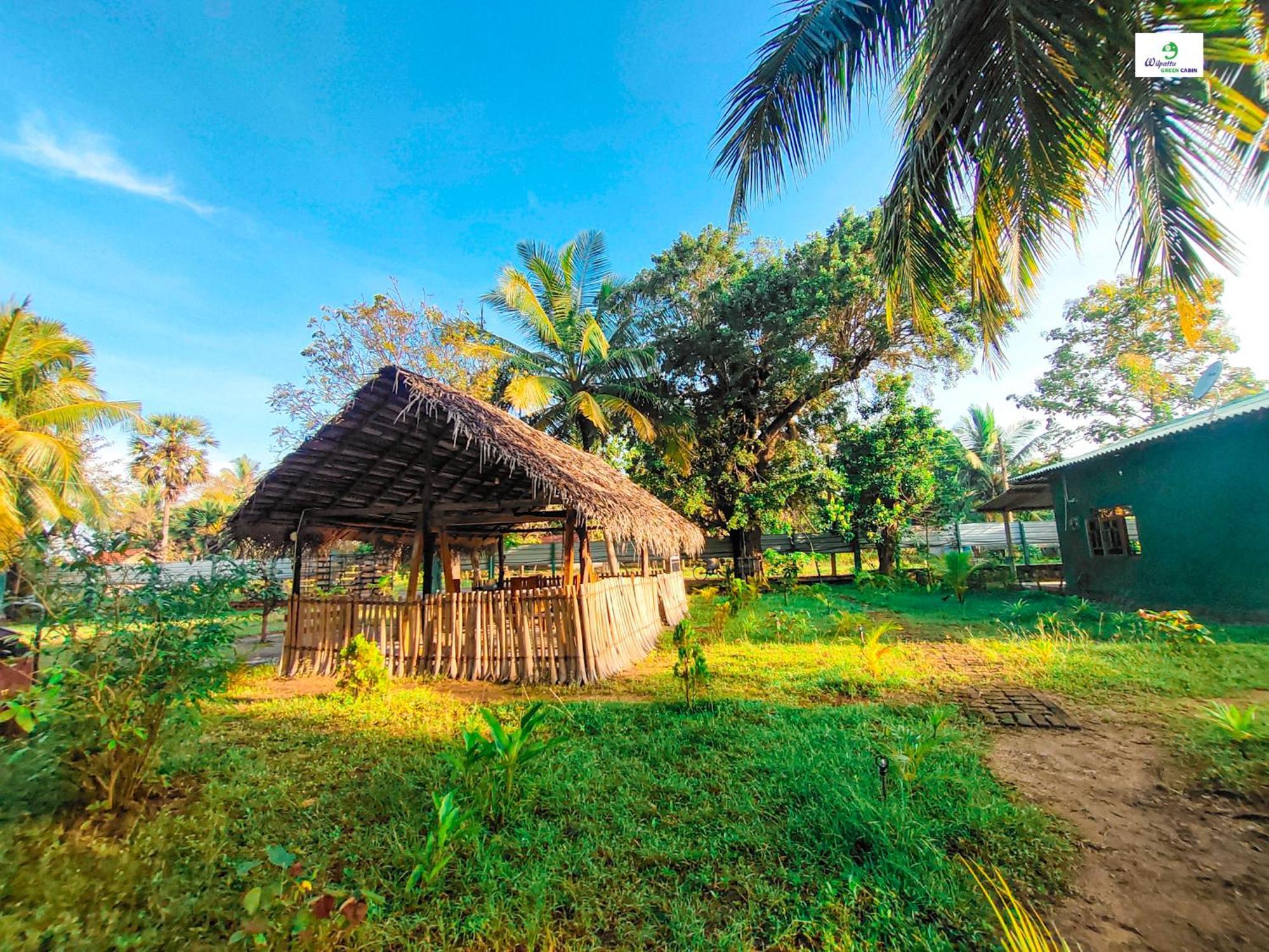 Wilpattu Green Cabin Achchamulai Экстерьер фото